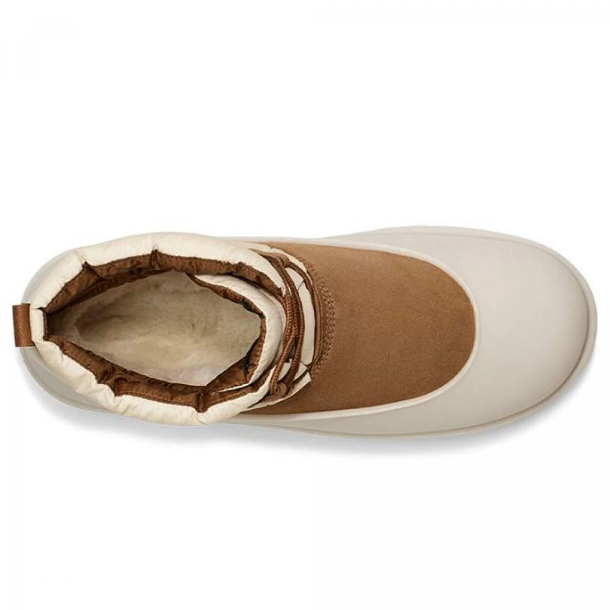 UGG Men Classic Mini Lace Up Chestnut Whitecap — фото 4