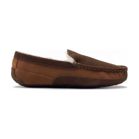 UGG Mens Ascot Cognac